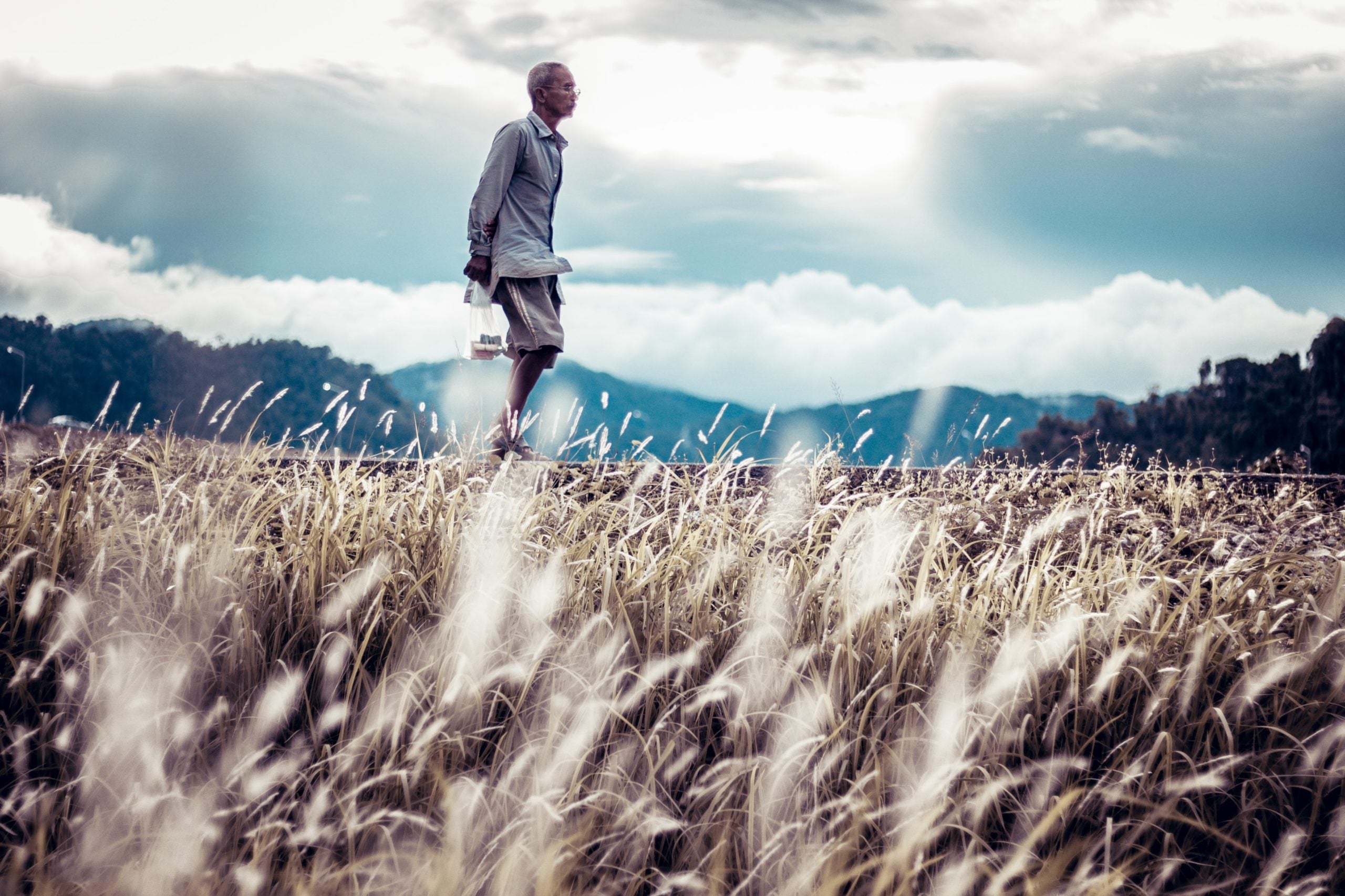 6 Timeless Virtues for Life and Work