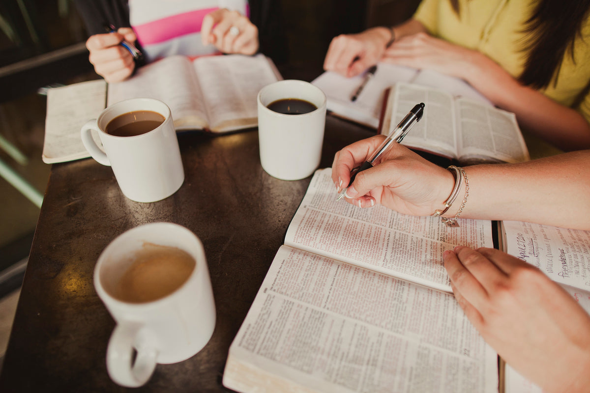 How to Use the Rooted Facilitator Guide to Lead Your Group Effectively