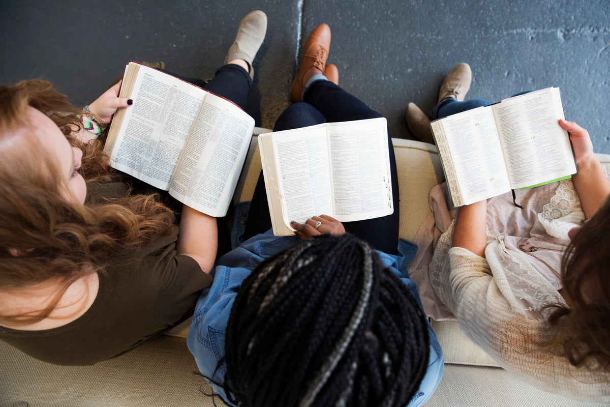 Rooted for Students: What the Rooted Essentials Experience Looks Like