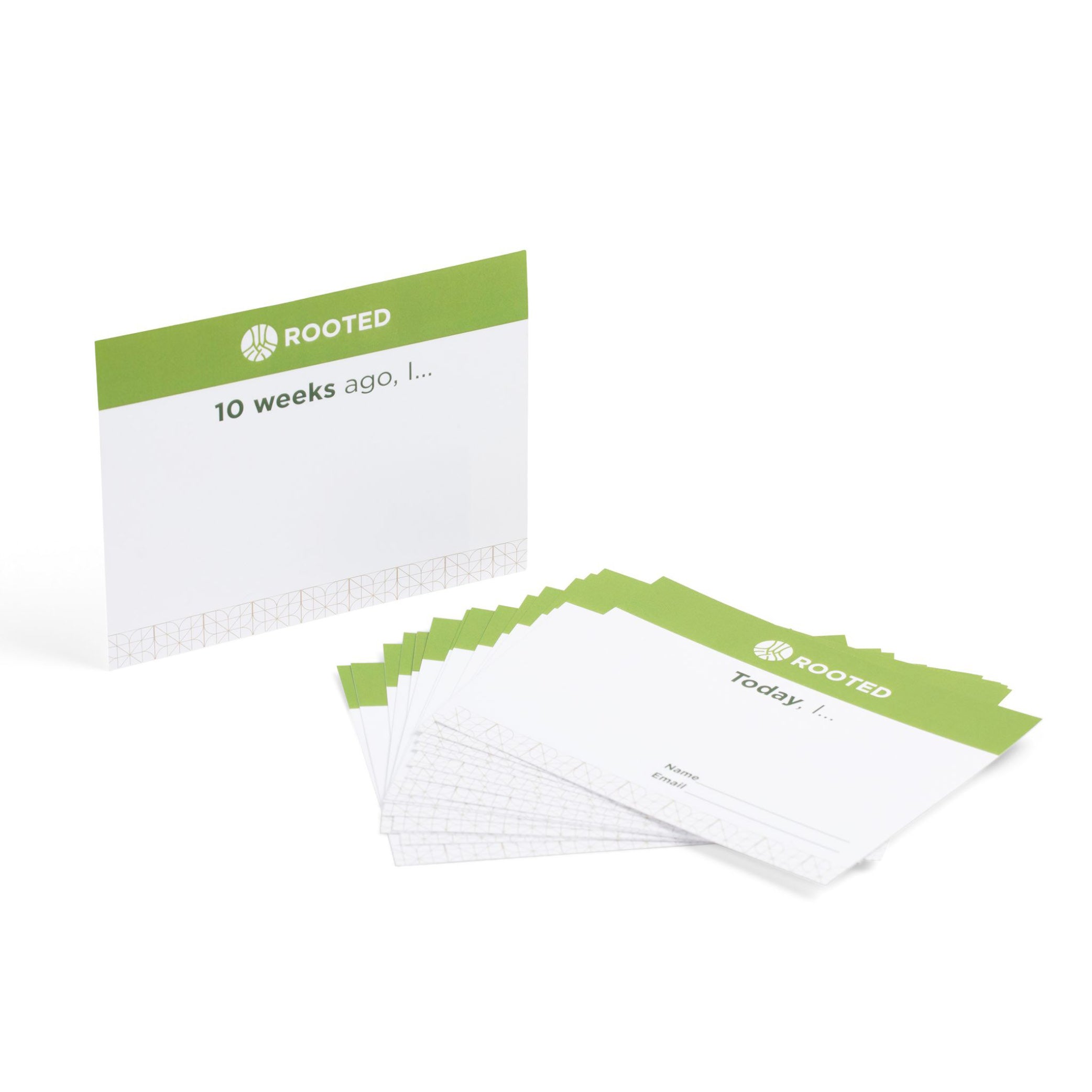 Rooted Cardboard Testimony Cards