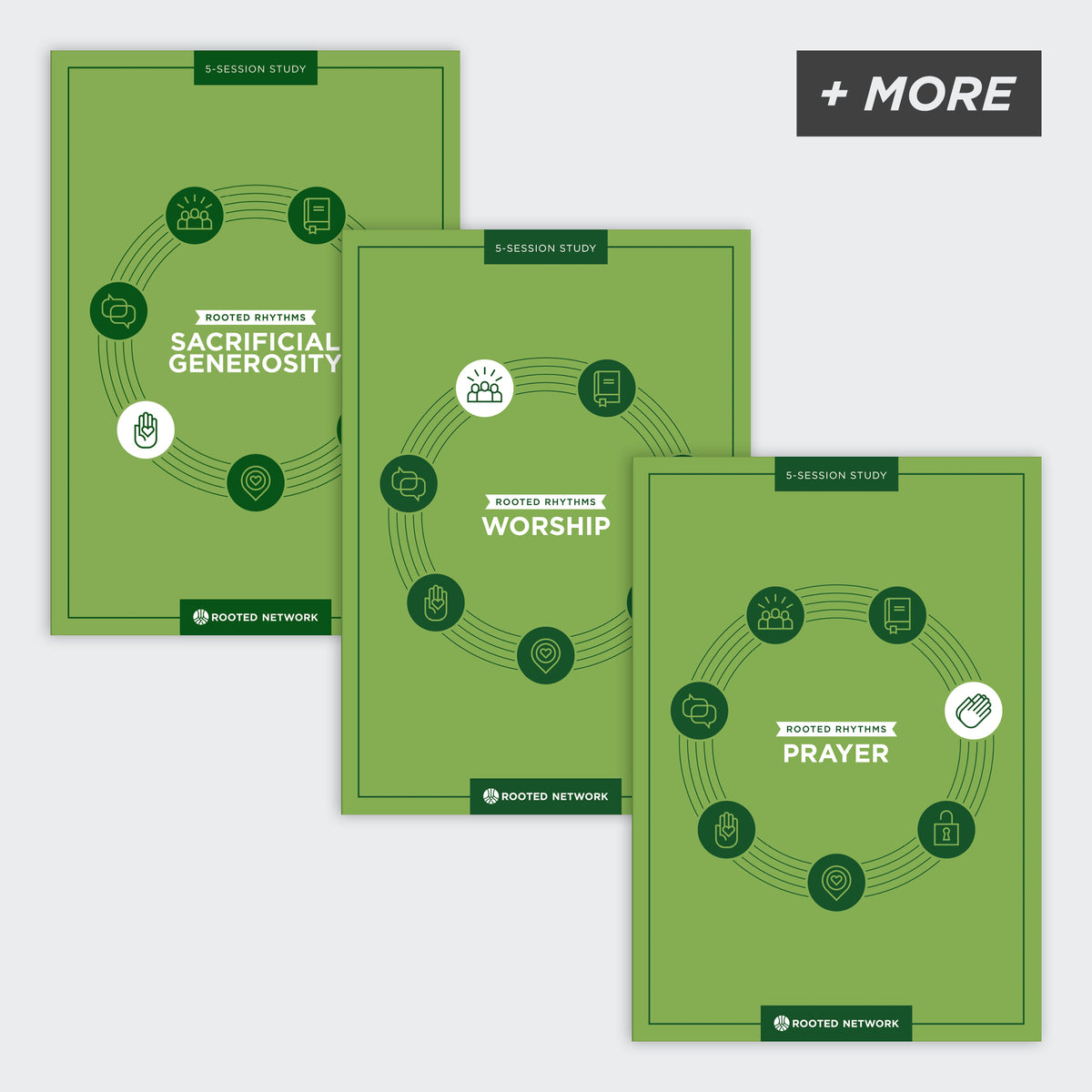 Rooted Study 5 Great Small Group Bible Studies for Summer